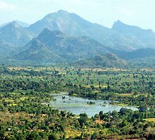 View from Sigiriya by Kylie Reid