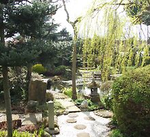 Enlightening Path by calam19