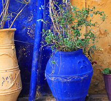 Flower Pots, Greek Style by Steve Outram