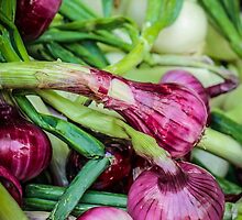 Farmers Market Red Onions by Nicole Petegorsky