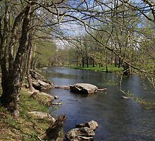 Little River II by Gary L Suddath
