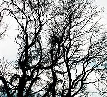 leave me at the tree by Lauren Lynch
