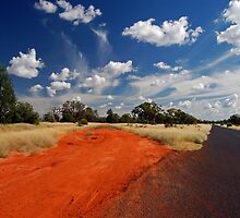 the road less travelled by Fiona Braendler