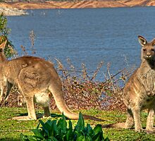 Family Affair by GailD