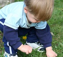 Picking "Flowers" for Grandma by Darla Logsdon