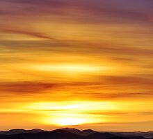 Fruit Tingle Sunrise by David Haviland
