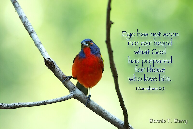 "Eye has not seen nor ear heard what God has prepared . . ." Posters by