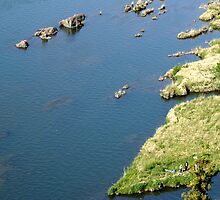 Fishing by ablyth