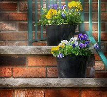 Pansies II by Mike Savad