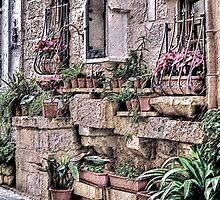 The House in the Alley by Warren. A. Williams