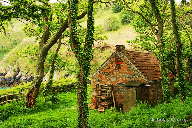 "The Woodcutter's Cottage" by Nicholas Averre Redbubble