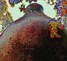 Kiln by justlinda