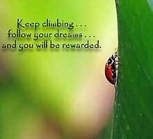 Keep climbing . . . by Bonnie T. Barry