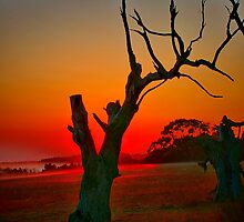 "When Morning Gilds the Skies" by Phil Thomson IPA