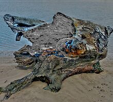 Dead Wood by Warren. A. Williams