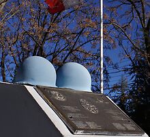 Canadian Cenotaph by Lisa Solonynko