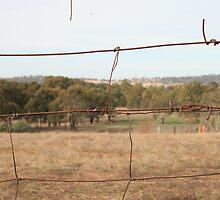 Totally Wired by Alyssa Passlow