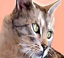 Teekie by FrankChapman