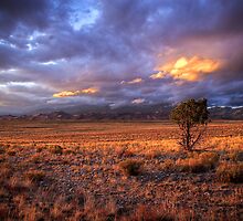 Great Sand Dunes National Park by Ryan Wright