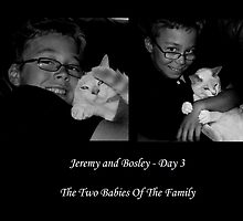 Stray Kitten Update 2 by Ruth Palmer