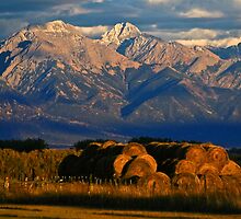 Below the Sangre de Christos by Ryan Wright