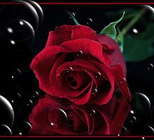 Rose Bubbles by windrider86