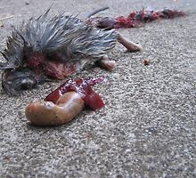 Gruesome death by kossimarsalsa