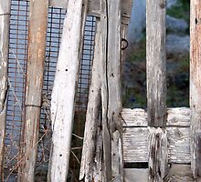 No Entry by Danielle Reier