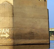 What Did the Fish Say When He Ran Into the Wall? by Ann Rodriquez