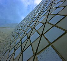 Looking up by Derek Andersen Photography