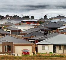 "Little boxes on the hillside, little boxes made of ticky tacky" by Heather Prince