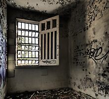 If Walls Could Talk by Mark Snelson