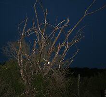 A Bewitching Night... by Cheyenne