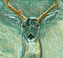 Snow Gazer by Dawn B Davies-McIninch