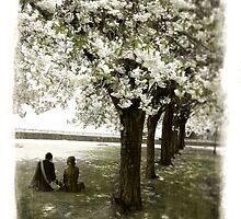 He and She on late April by yanoschick