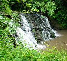 Kildale falls by dougie1