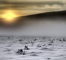 White desert by Gino Caron