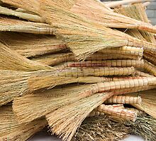 broom by dominiquelandau