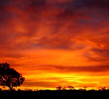 Sunrise, Batton Hill,Simpson Desert,N.T. by Joe Mortelliti