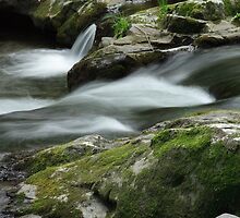 Low Water by Gary L Suddath