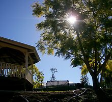 afternoon sun by hollieshiels