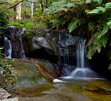 Little Falls by Warren. A. Williams