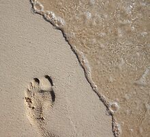 Footprint on the Beach by Alex Bramwell