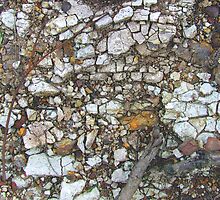 face in the rock by adam pearson