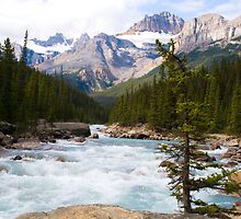 Mistaya River by LarryGambon
