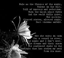 As pale as the flowers of the night by Damian