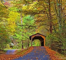Autumn Bridge by Mike Griffiths