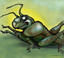 Grasshopper by Kevin Middleton