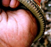 Handsnake by Alvin-San Whaley