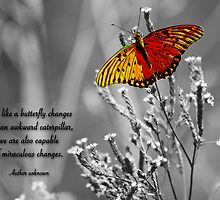 Miraculous Changes . . . by Bonnie T. Barry